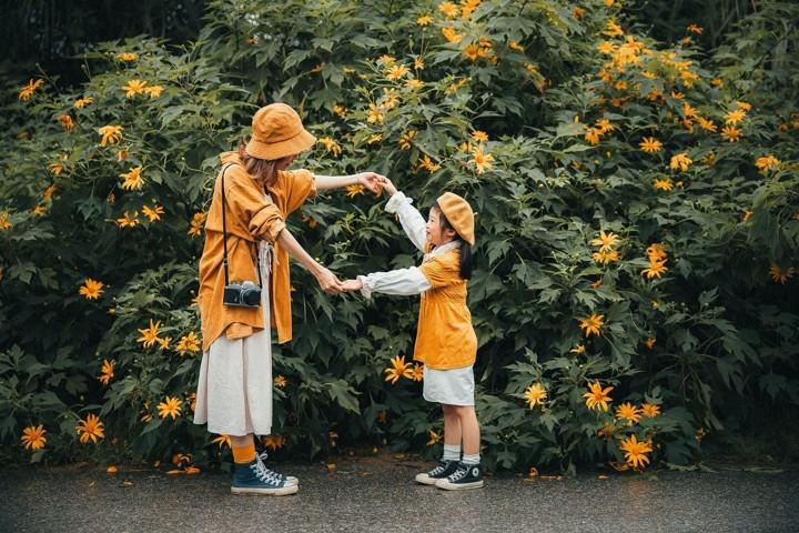 Bí Quyết Săn Hoa Dã Quỳ Ba Vì – Tạo Ra Những Bức Ảnh Đẹp Nhất