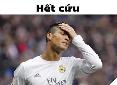 Meme hết cứu là gì?