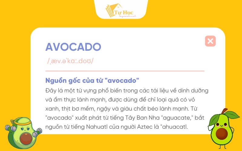 Quả bơ tiếng Anh là gì? Từ vựng và cách sử dụng thú vị