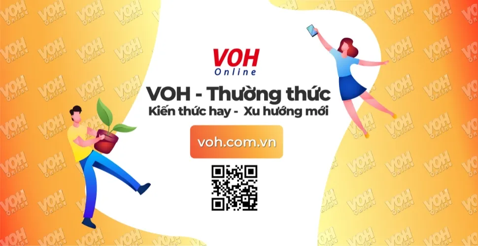 Top những câu nói hay về quê hương đong đầy tình cảm