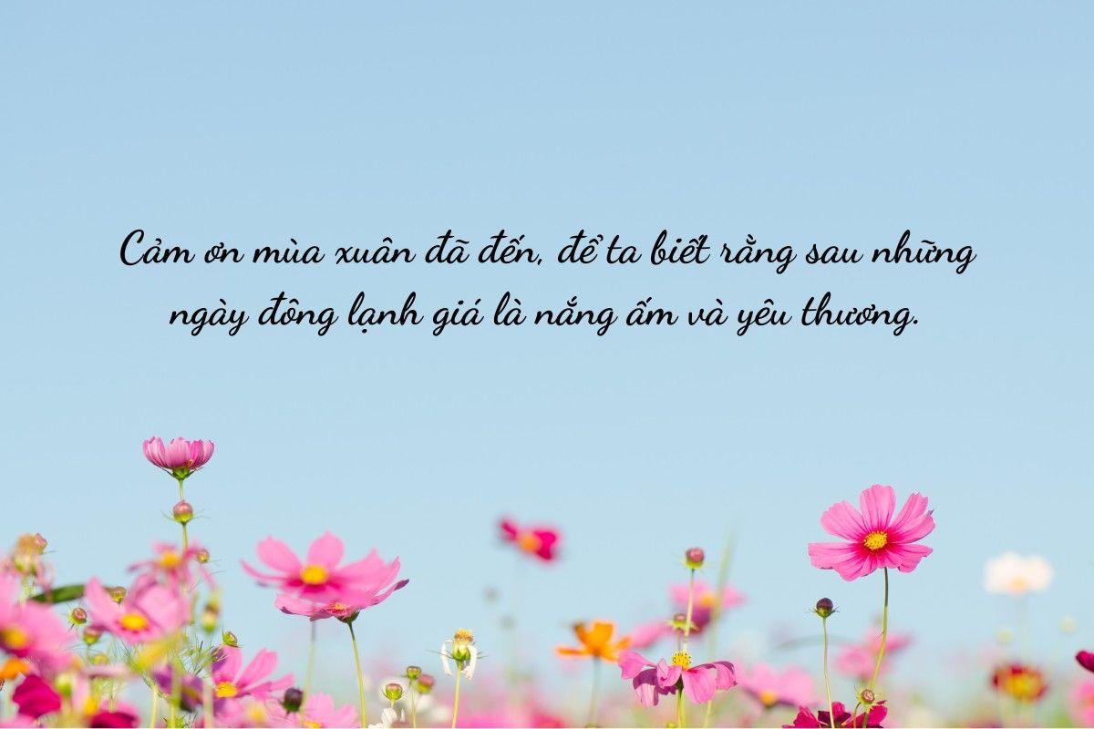 999+ STT mùa xuân đầy sức sống, caption xuân ý nghĩa, STT xuân hoài niệm trong năm mới