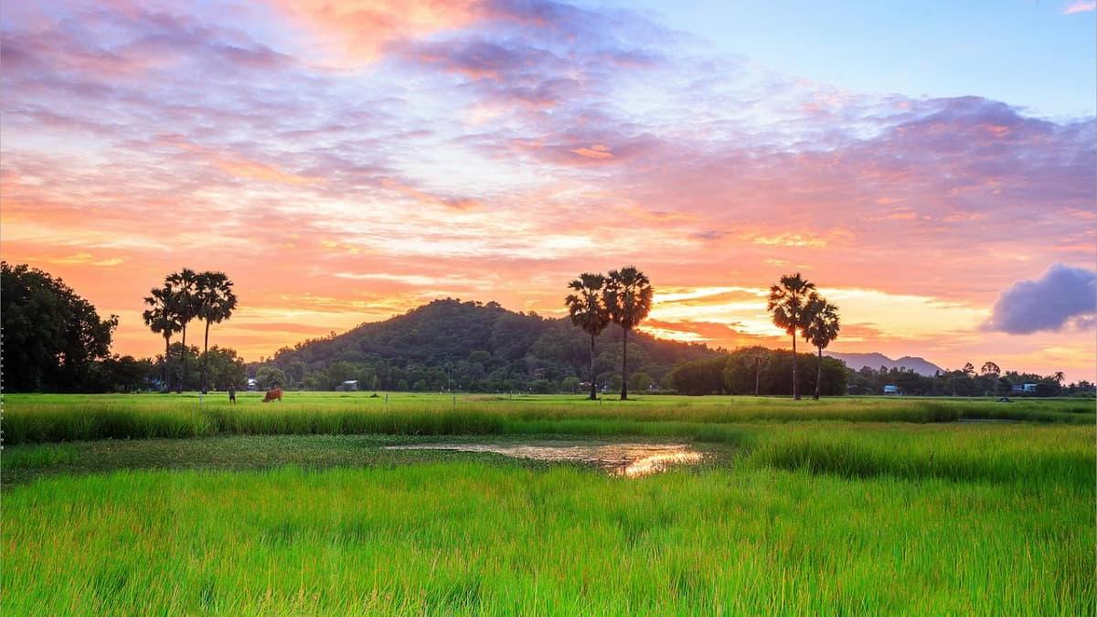 Bài thơ 5 chữ về đất nước, quê hương