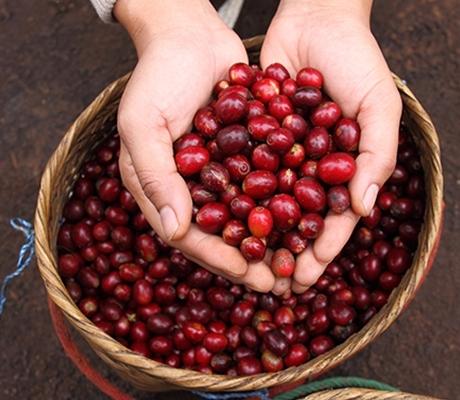 Tuổi thơ trong tôi là: Cà phê! - Vinacafé - Tinh tuý vị thời gian
