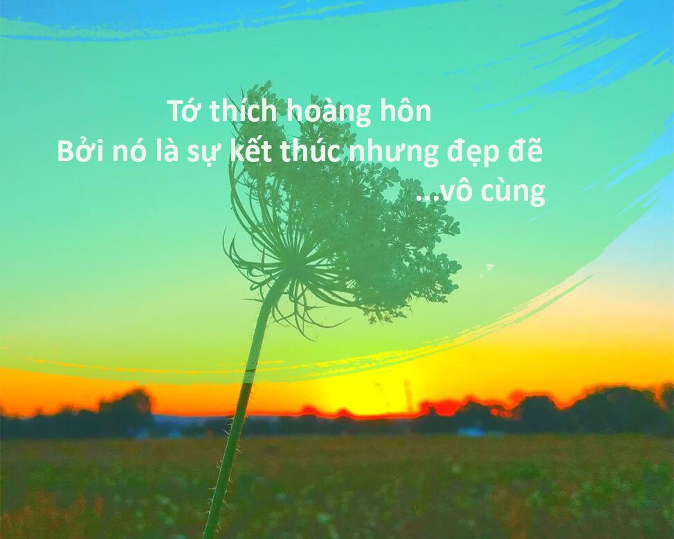 stt về hoàng hôn