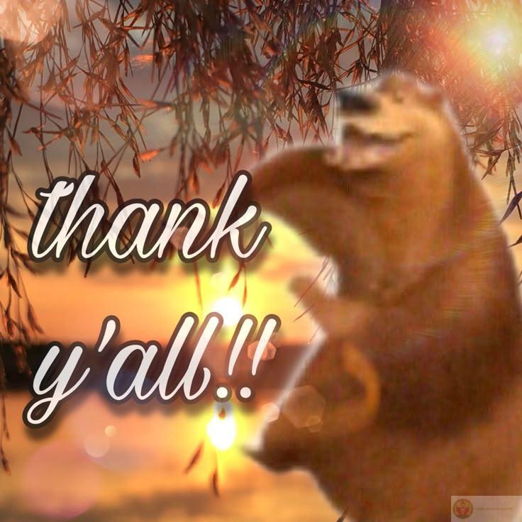 BST meme cảm ơn hài hước, ảnh chế thank you cute nhất