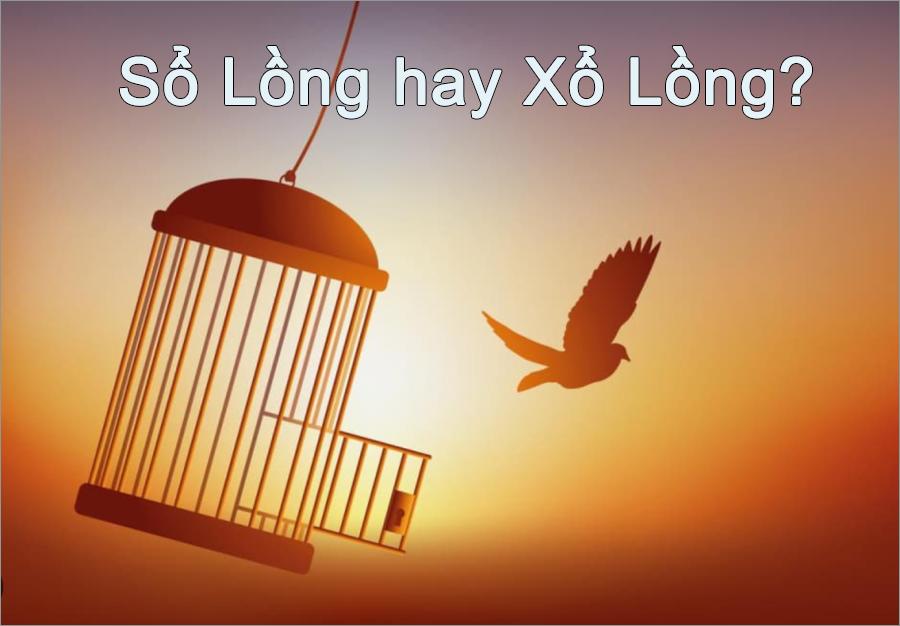 Sổ Lồng Hay Xổ Lồng? Đâu Là Cách Viết Chính Xác Trong Tiếng Việt