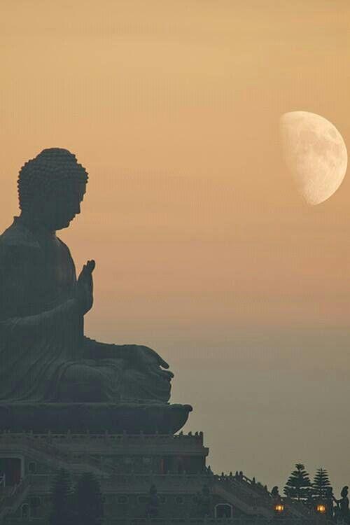 kho 99 anh phat hinh phat dep nhat sieu chat luong 4k danh cho moi thiet bi 13571 50