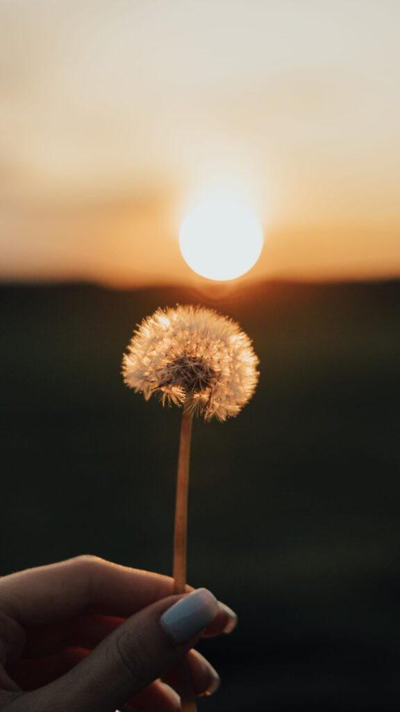 Mẫu hình nền điện thoại theo chủ đề, tỉ lệ 9:16 phù hợp Android và iPhone