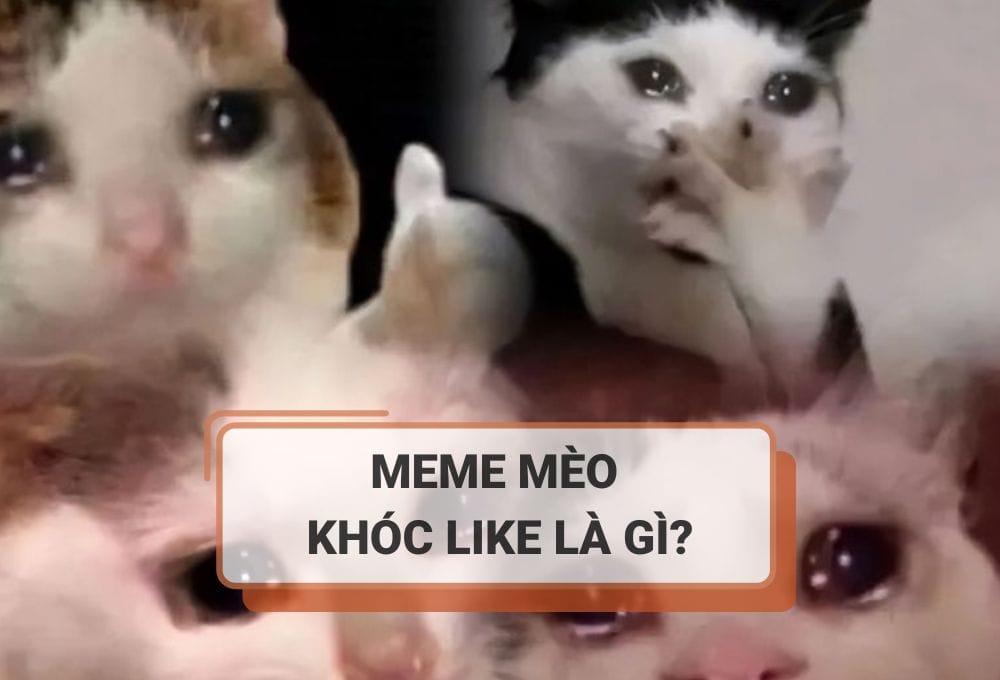 Meme mèo khóc like là gì