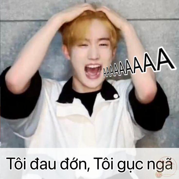 Gục ngã meme