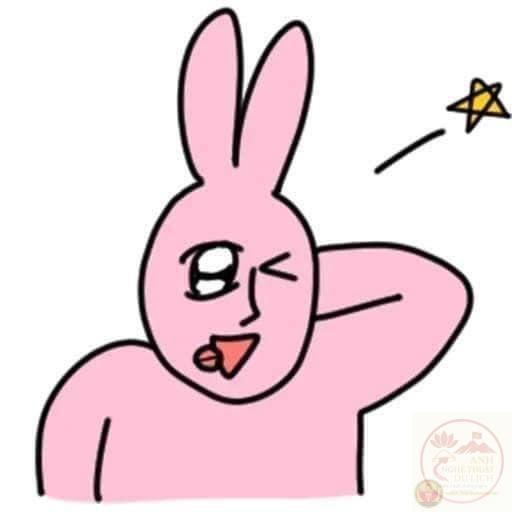 thỏ gãi đầu cười