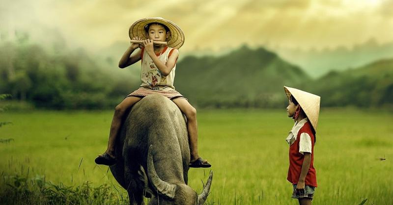 Những câu ca dao tục ngữ Việt Nam mà bạn không nên bỏ qua