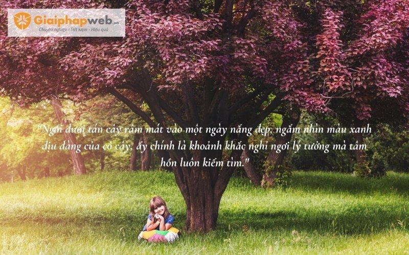 những câu nói hay về thiên nhiên