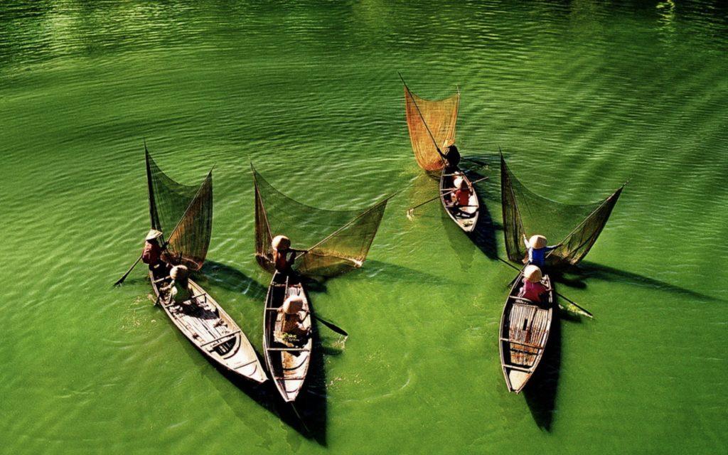 Những bài thơ hay về quê hương, tuổi thơ