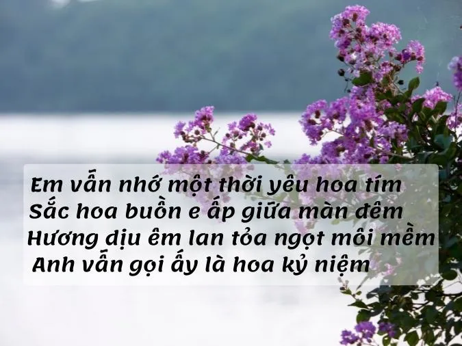 tho-ve-hoa-bang-lang-voh-1