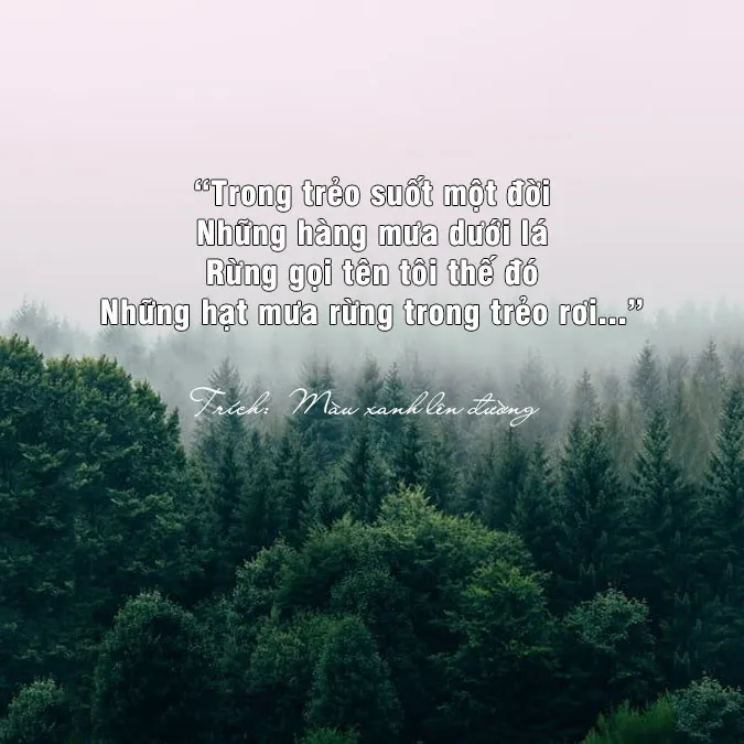 Thơ về núi rừng 1