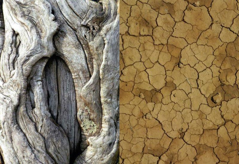 1981 hợp những số nào