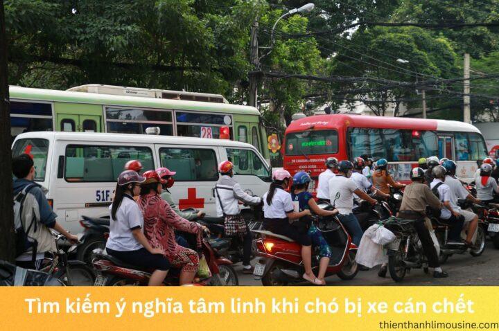 Thấy Chó Bị Xe Cán Chết Đánh Con Gì: Giải Mã Hay Nhận Thức Thực Tế?