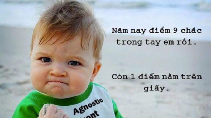 Ảnh meme cute​ với biểu cảm hài hước, dễ thương, chắc chắn sẽ gây cười