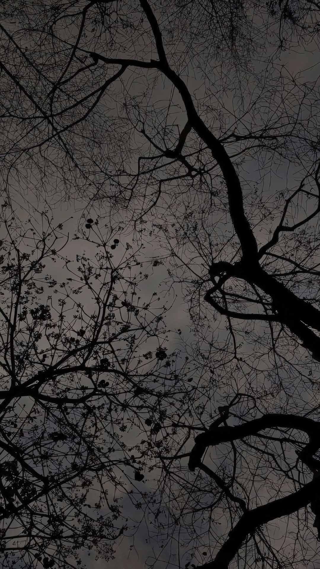 anh hoa cay coi buon 1920px 1080px full hd 1