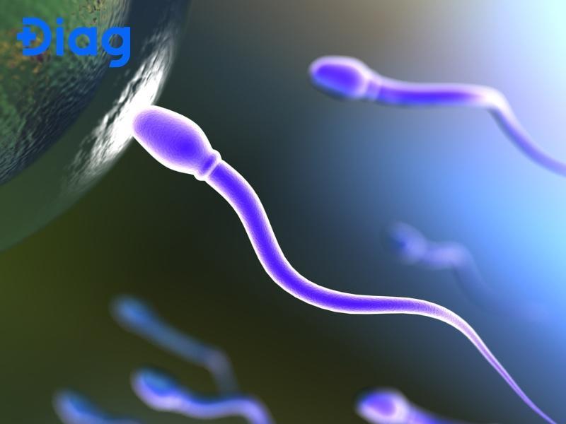 bao nhiêu tuổi thì có tinh trùng