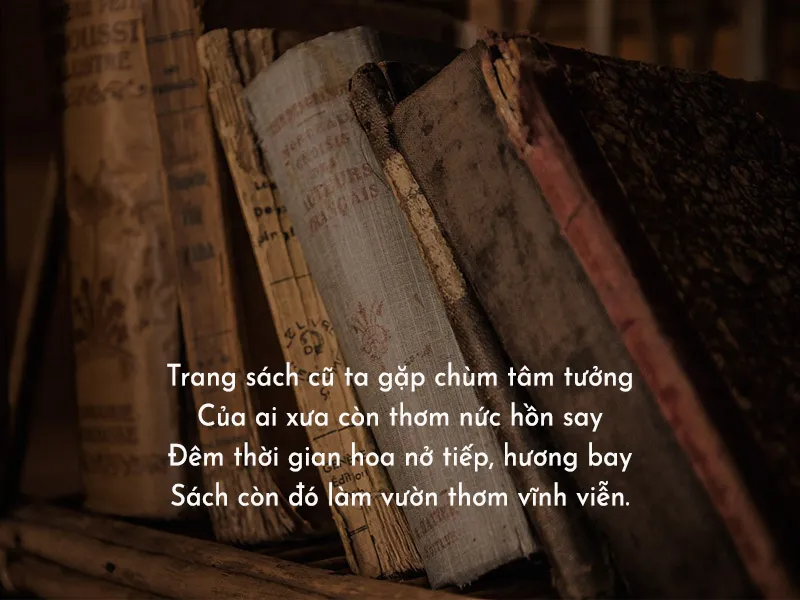 Thơ về sách lan tỏa niềm đam mê và văn hóa đọc trong cộng đồng