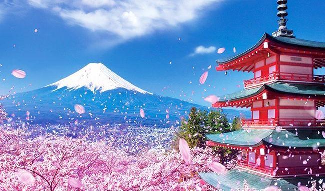 Đoạn văn (khoảng 150 chữ) trình bày về điều bạn cảm thấy thú vị nhất ở thể thơ hai-cư