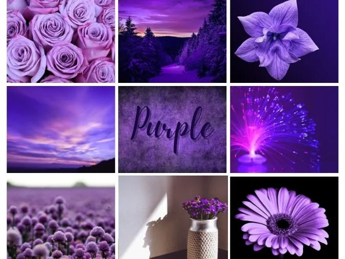 65 stt màu tím ấn tượng, thả thính vui nhộn 1