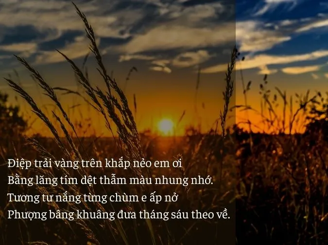 Tuyển tập thơ tháng 6 ấn tượng, dạt dào cảm xúc 1