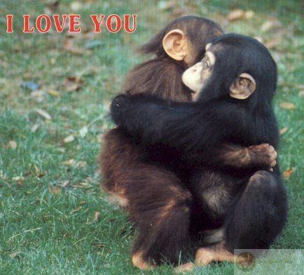 Mỗi giọt nước mắt hôm nay sẽ là nụ cười sau này