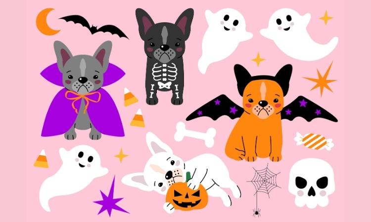 hình halloween cute dễ vẽ