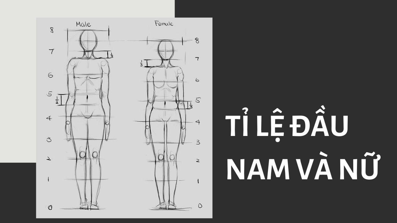 Tỉ lệ đầu nam và nữ