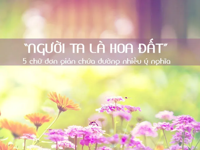 Giải thích ý nghĩa câu tục ngữ “Người ta là hoa đất” khuyên ta điều gì?