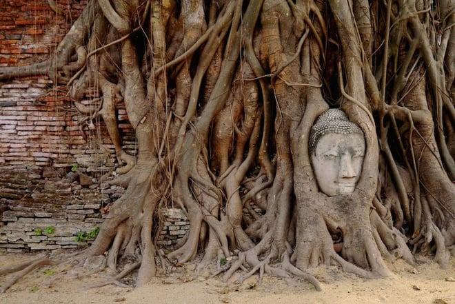 Có kiêng có lành: 5 kiêng kỵ khi chụp ảnh để tránh rước xui xẻo