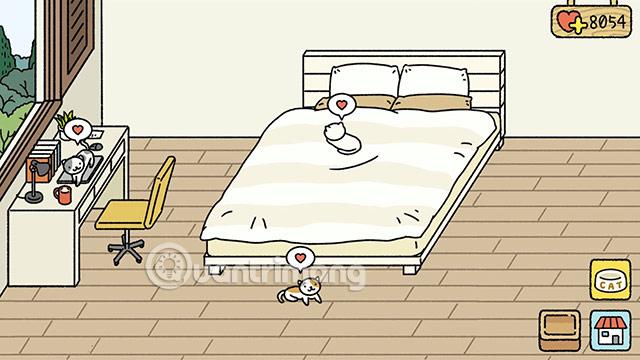 mèo hết dỗi adorable