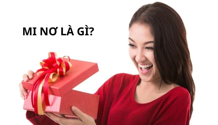 Mi nơ là gì?
