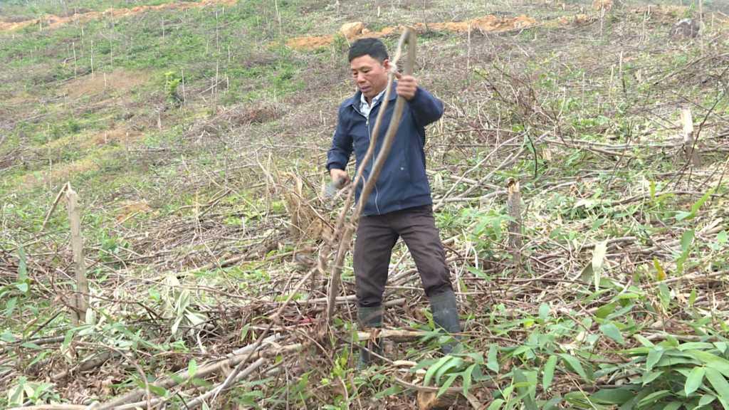 Cổng thông tin điện tử