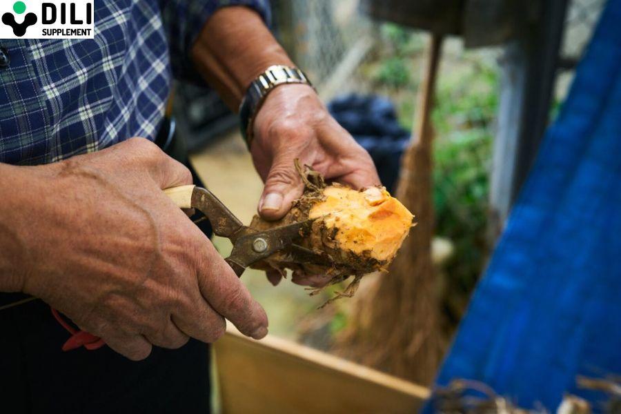 viên uống giải rượu Huyền thoại DiLi Okinawa