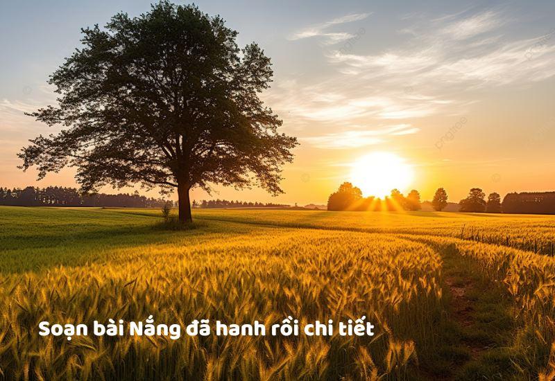 Soạn bài Nắng đã hanh rồi của tác giả Vũ Quần Phương