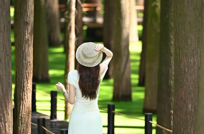 Những góc chụp ảnh đẹp ở Đầm lầy Hồ Thanh Sơn – Hàng Châu