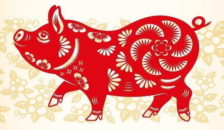 Chi tiết tử vi tuổi Đinh Hợi 2007 nữ mạng năm 2026