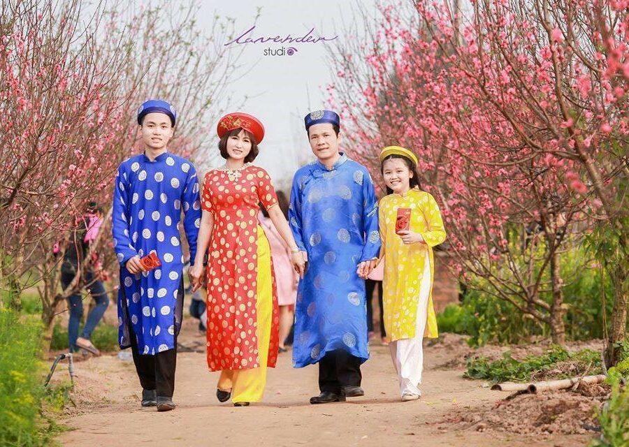 loại hoa được sử dụng để chụp hình Tết với hoa