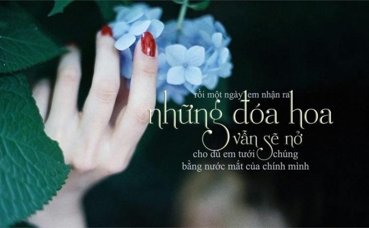 100+ caption, status hay, ngắn gọn, chất ngầu về tình yêu, tình bạn, gia đình và cuộc sống