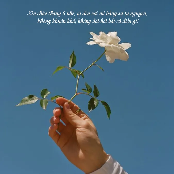 90 status tháng 6 yêu thương, cap tháng 6 hài hước 1