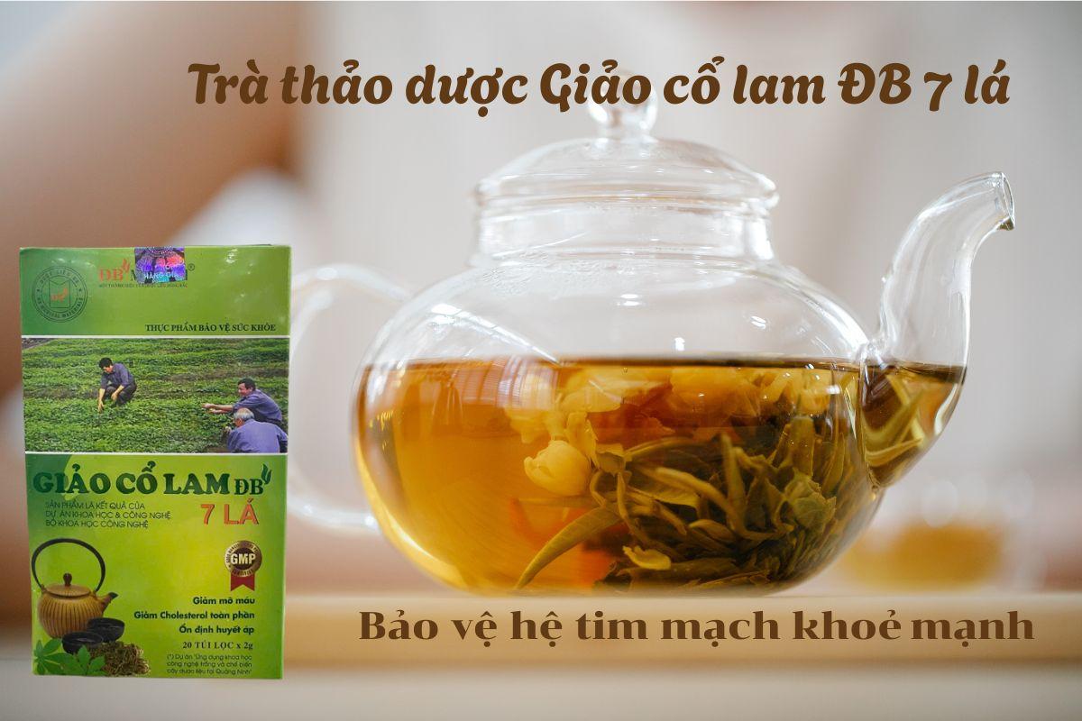 Trà thảo dược Giảo cổ lam ĐB 7 lá