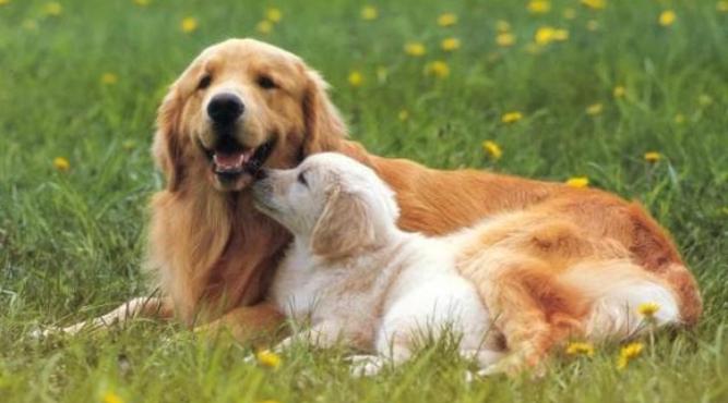 Sinh năm 2006 (2k6) vào năm 2025 bao nhiêu tuổi