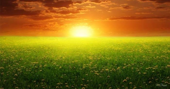 Mở bài Nắng đã hanh rồi                               Nắng đã hanh rồi của Vũ Quần Phương