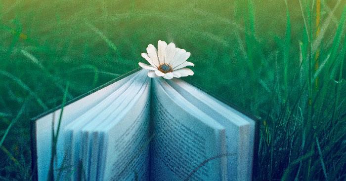 Soạn bài Người thầy đầu tiên - Kết nối tri thức 7                               Ngữ văn lớp 7 trang 65 sách Kết nối tri thức tập 1