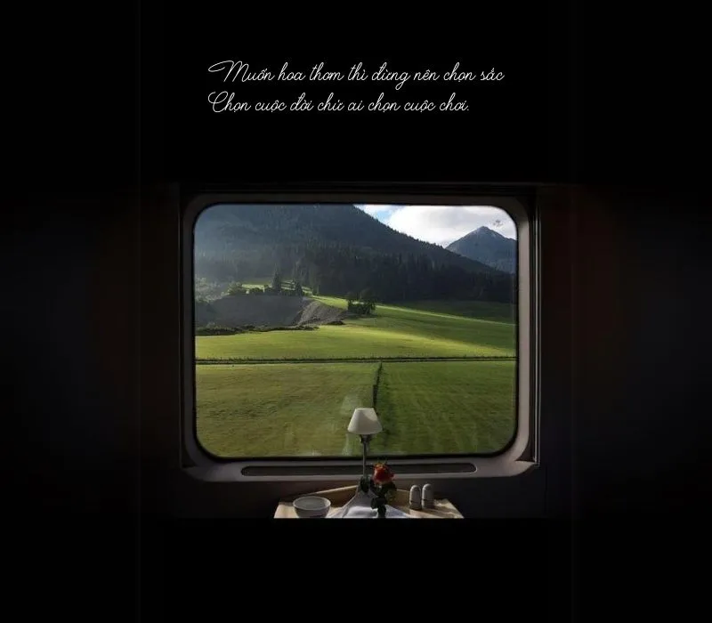 60+ stt từ bỏ cuộc chơi làm lại cuộc đời