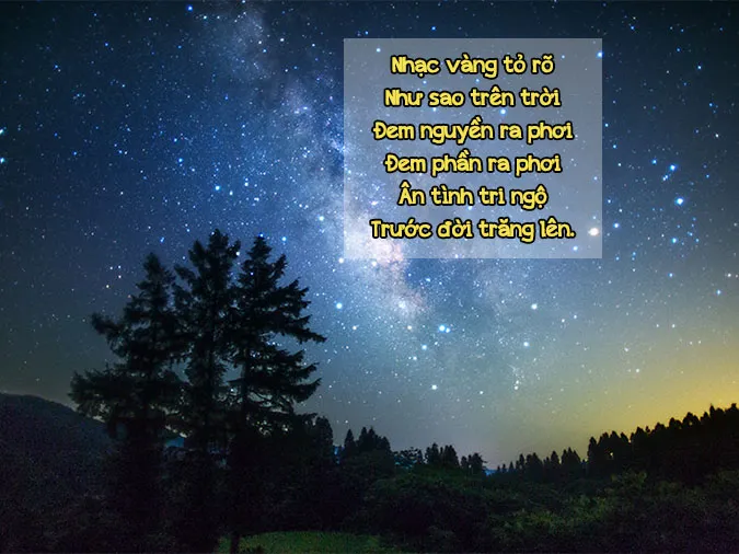 Chùm thơ về âm nhạc chạm đến cảm xúc